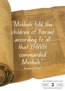 SE - daily messages month2 day29